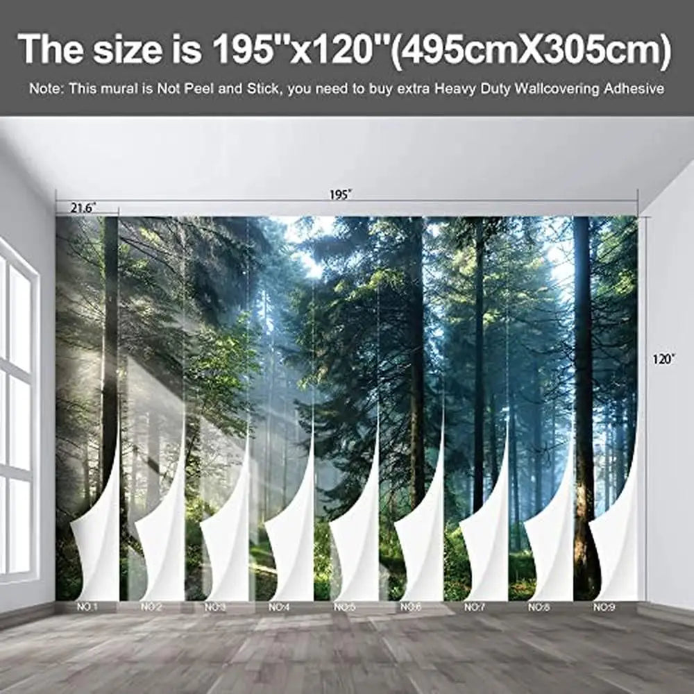 Mystic Pine Trees with Sunlight 3D Wallpaper - Size & Installation